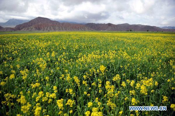 Fantastic scenery of Naryn State, Kyrgyzstan