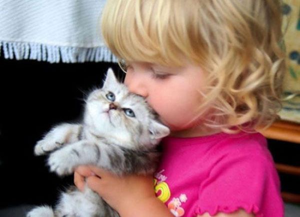 Sweet! When kids meet animals