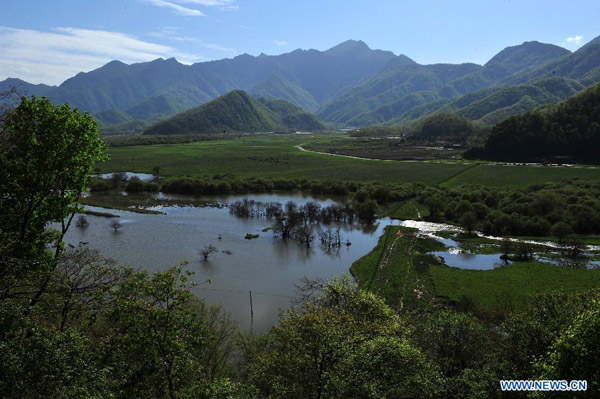 Scenery of Dajiuhu Wetland in Shennongjia