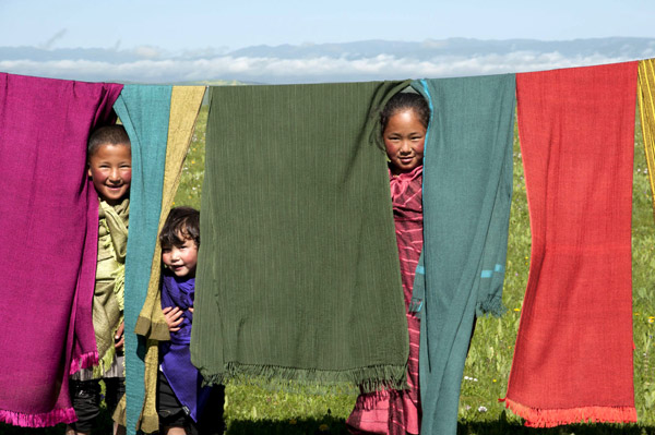 Yaks for haute couture