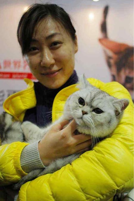 Cats were friends of Chinese since ancient times
