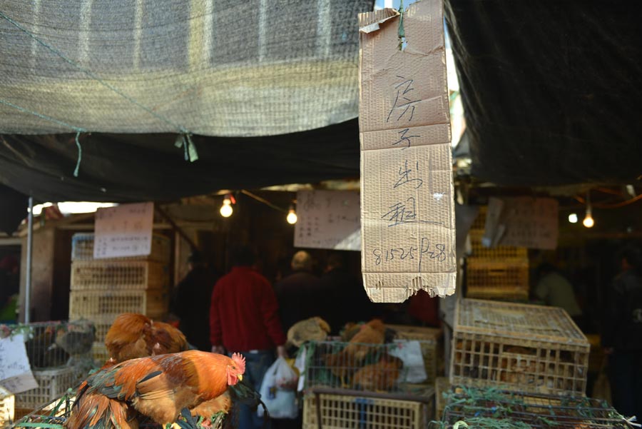 Bird flu slows poultry market