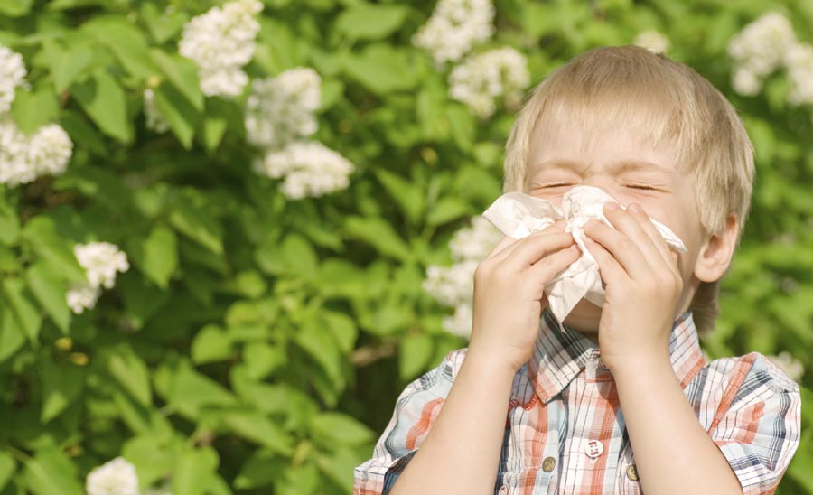 9 tips for coping with hay fever