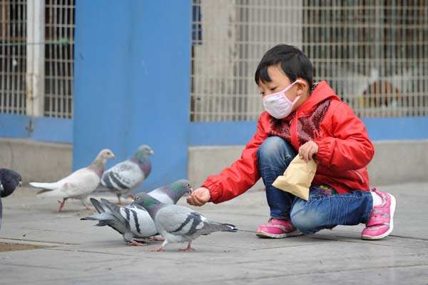 New hope for bird flu patients