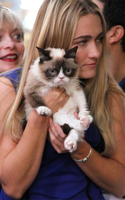 Grumpy Cat goes viral online