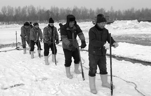 Hardy workers relish cool job in Heilongjiang