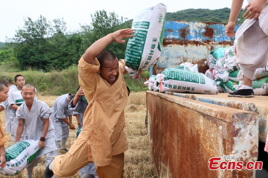 Harvest time for kung fu masters