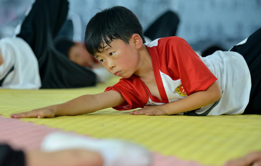 Children learn martial arts at training center in Henan province