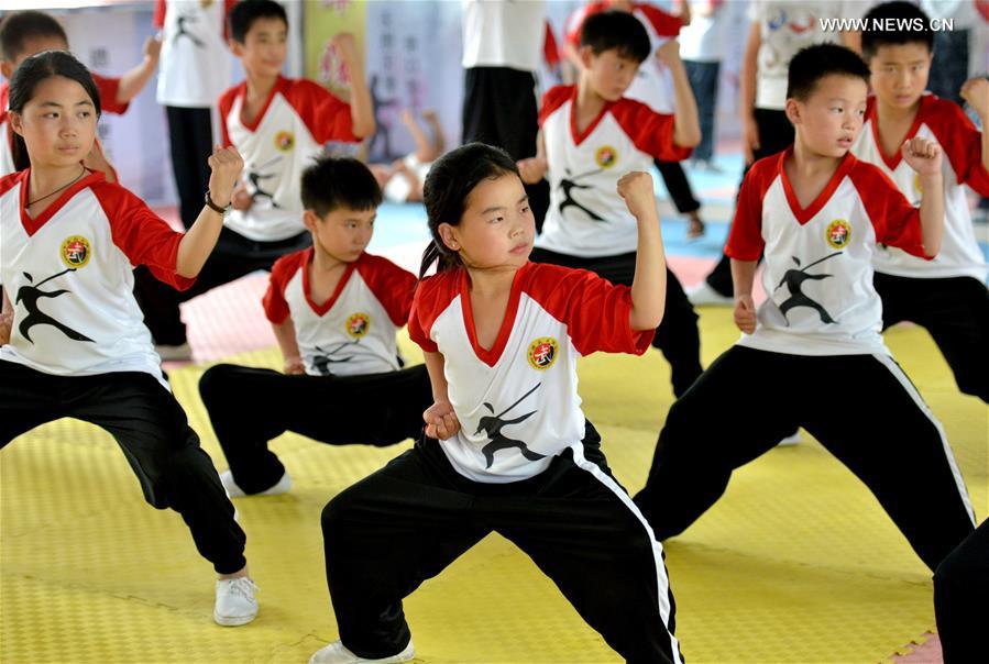 Children learn martial arts at training center in Henan province