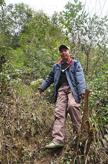 Ranger gets second chance with his trees