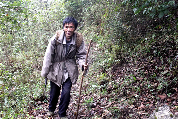 Ranger devotes a lifetime to protecting his trees