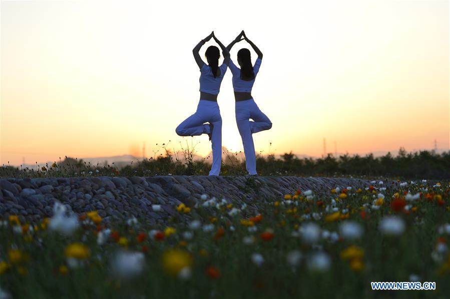 Yoga fans practise yoga on flower farmland in N China's Hebei