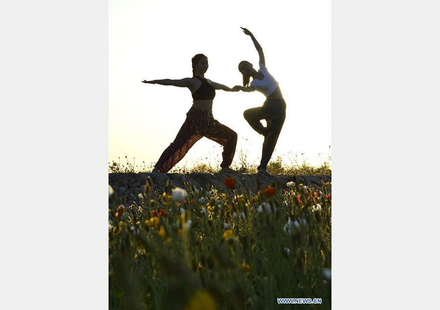 Yoga fans practise yoga on flower farmland in N China's Hebei