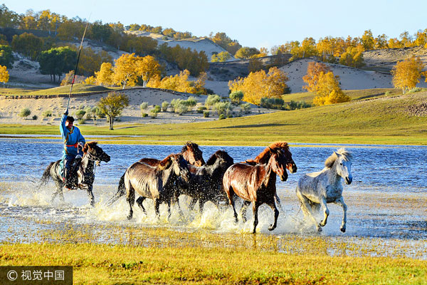 Golden path to success: Inner Mongolia 70th anniversary