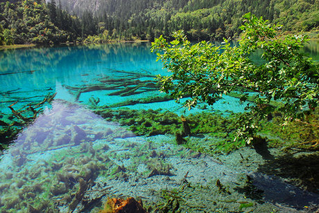 Jiuzhaigou Valley