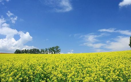 Hokkaido