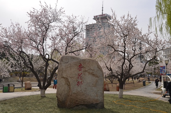Discovering Changchun’s 10 vivifying cultural parks in spring (1)