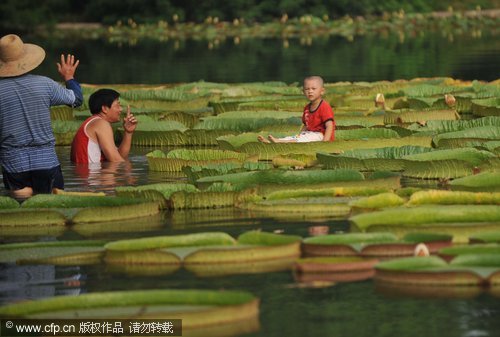 Children lounge on giant lotus leaves