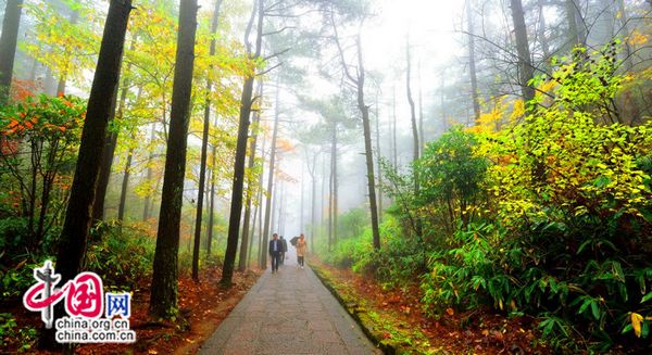 Colorful autumn scenery of Tianzhu Mountain