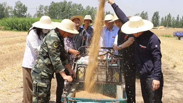 图片3.jpg