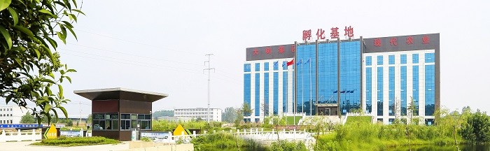 44.jpg
