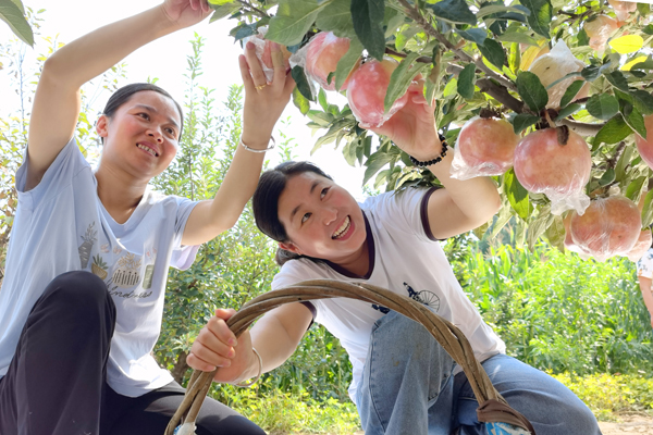 1695634092850002767.jpg 微信图片_20230918121117.jpg