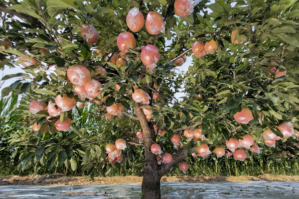 1695634098487074956.jpg 微信图片_20230918121440.jpg