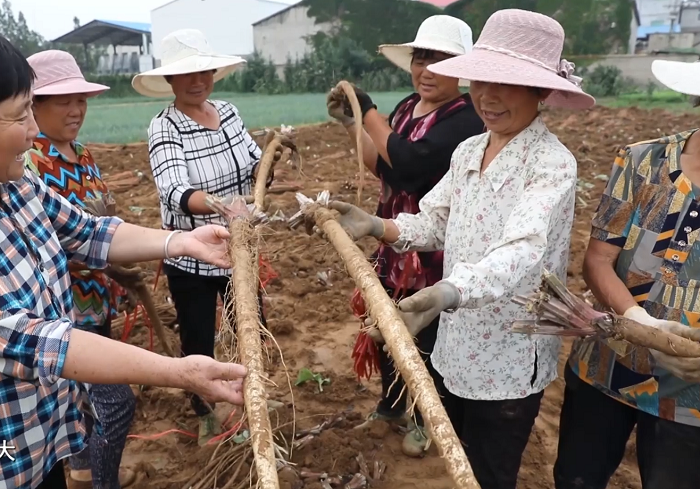 1695891305554079325.jpg 22.jpg