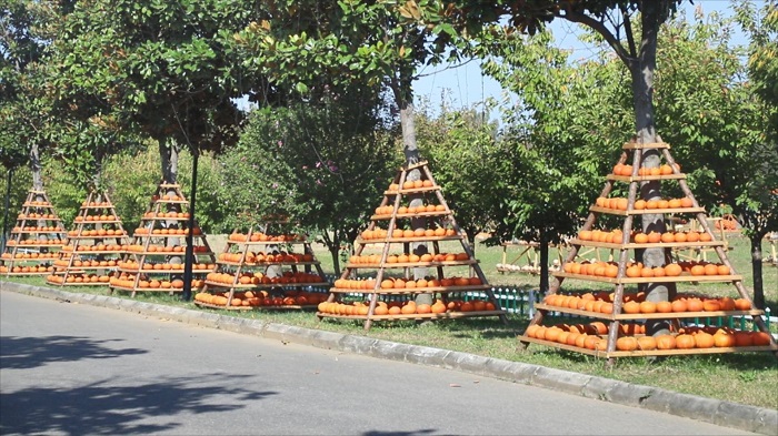 1696755494423070100.jpg 66.jpg