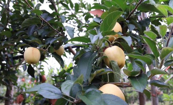 1698310547141064081.jpeg 图片1 (11).jpeg