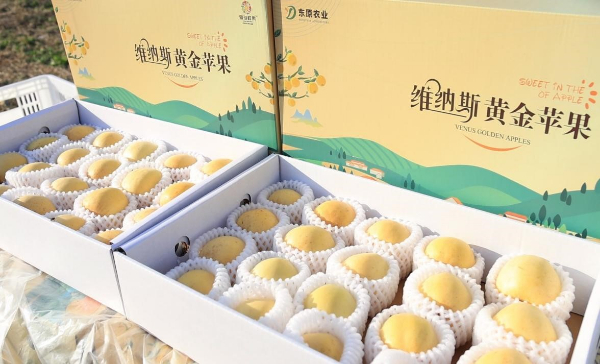 1698310562080076104.jpeg 图片2 (6).jpeg