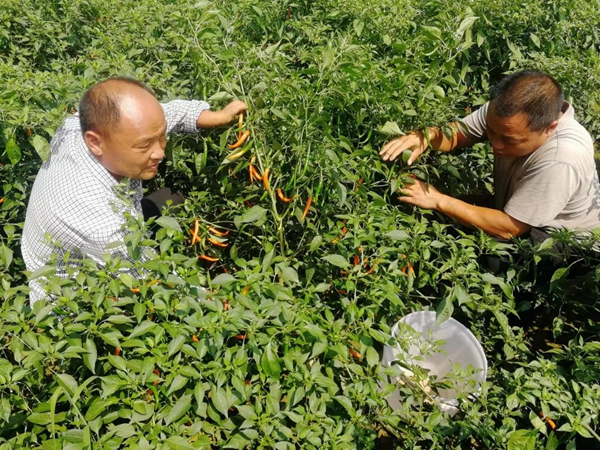 1701668915870062444.jpg 的他到底是.jpg