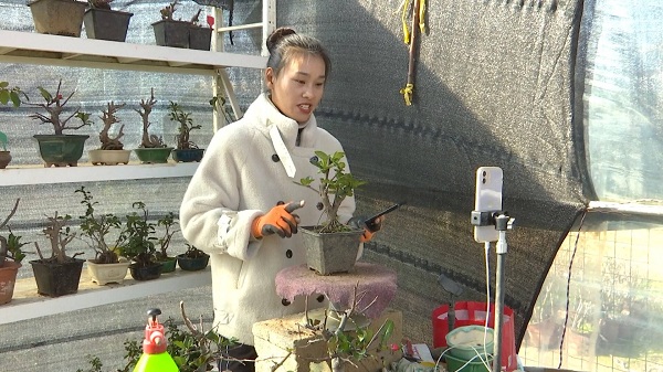 1702890966688027258.jpg 111.jpg