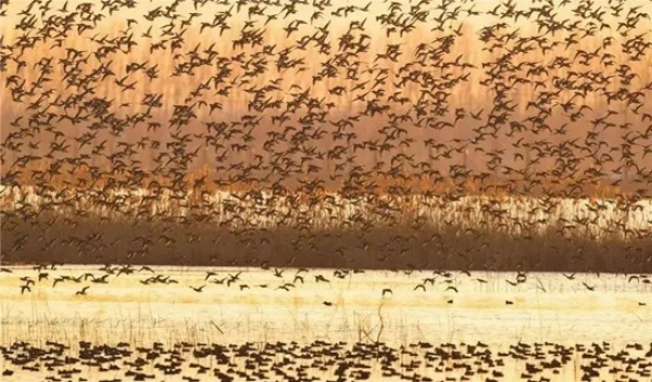 1702966271398006811.jpeg 图片1 (1)1.jpeg