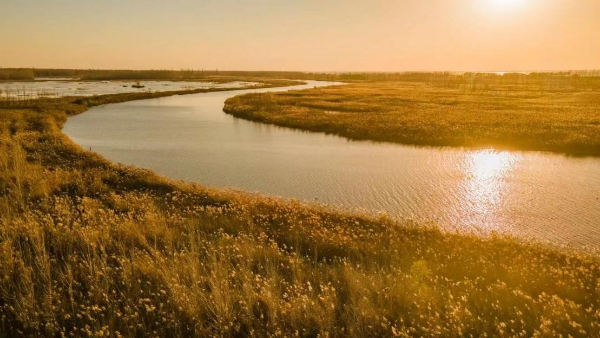 1702966291260074504.jpeg 图片34.jpeg