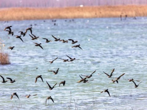 1702966312112083036.jpeg 图片2.jpeg