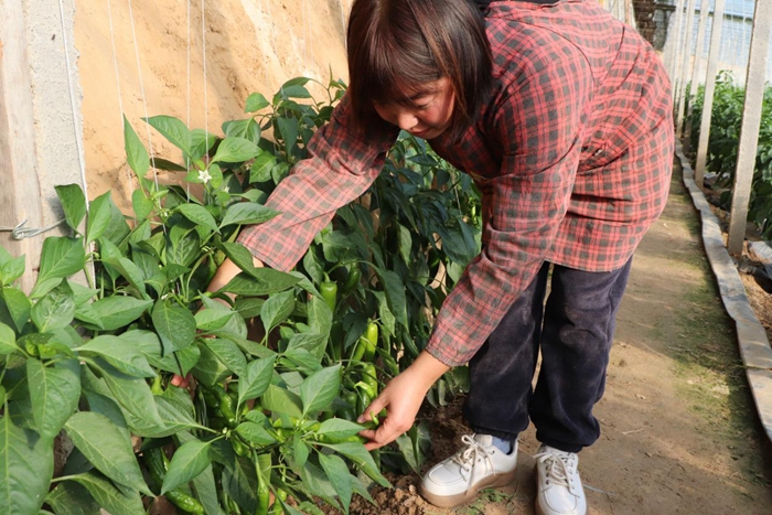 1703051573308090921.jpg dt1220.jpg