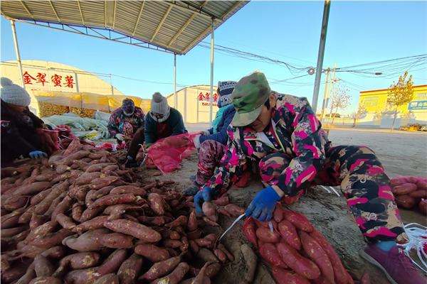 1703060495218019112.png 图片2.png