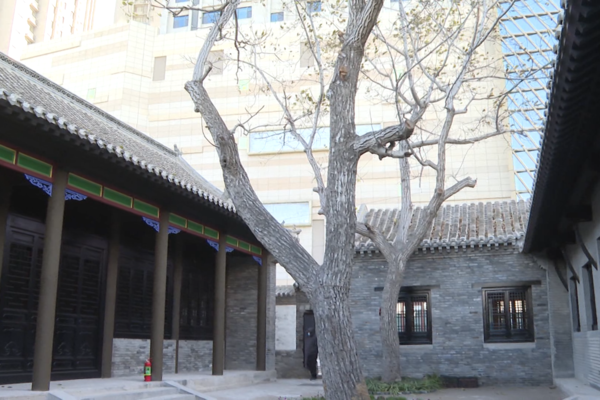 1703066334569042885.png sbsd.png