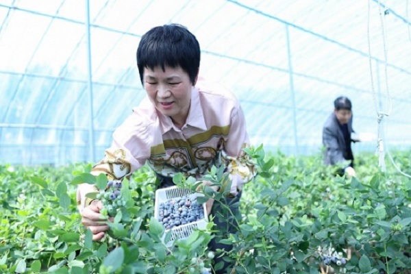 1703149873590019901.jpg 3.jpg