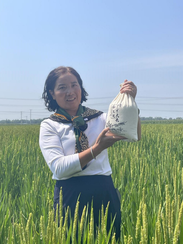 1703150485375061211.jpeg 图片3.jpeg