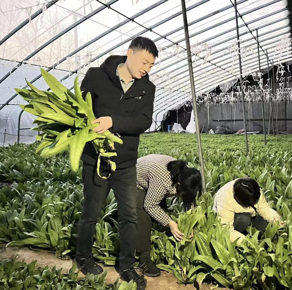 1703150941150046287.jpg 1703150941150046287.jpg