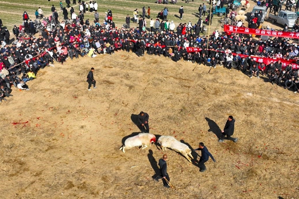 1703151641063083227.jpg 122102.jpg