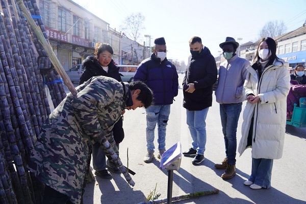 1703660814646027404.jpg 2.jpg