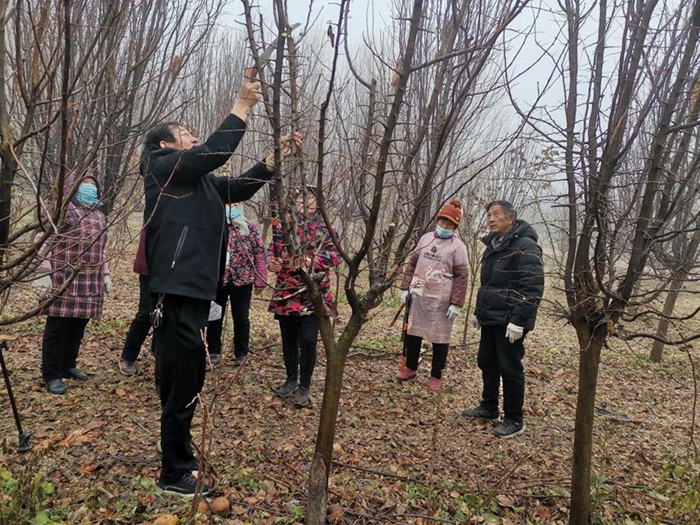 1704435955687016911.jpg dt03.jpg