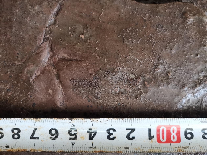 1706161926613093636.jpg zc2.jpg