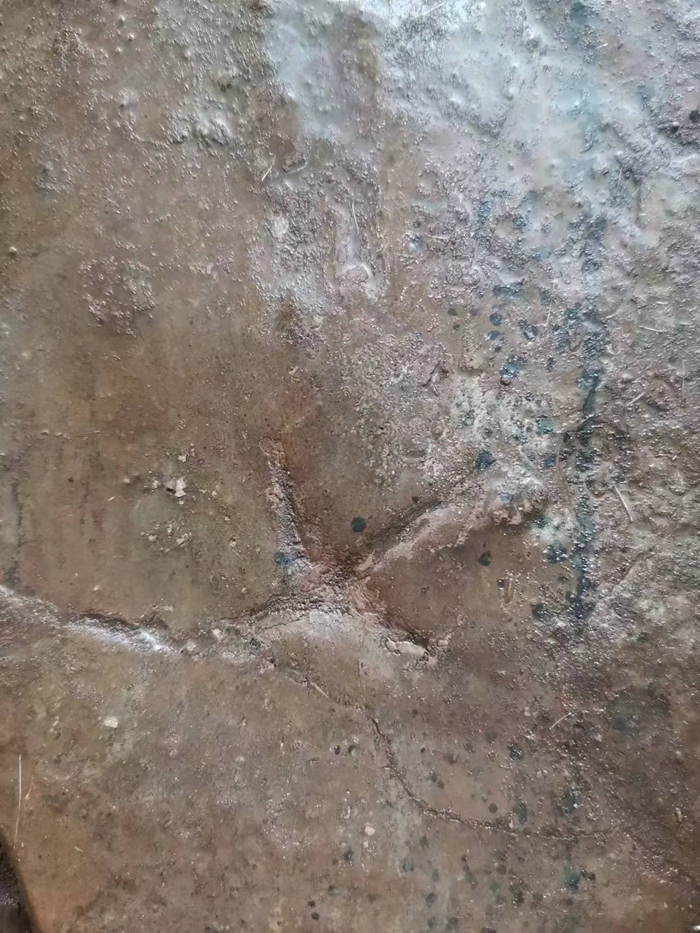 1706161962863010868.jpg zc1.jpg