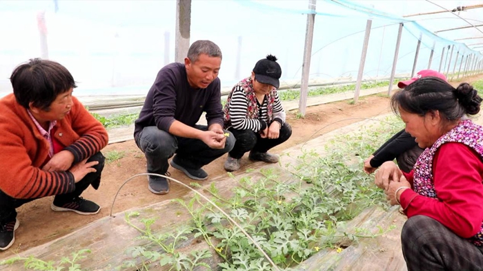 1709627287842062935.jpg dingtao0305 3.jpg