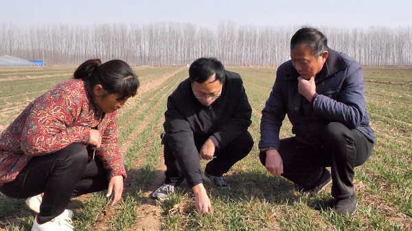 1710321076436014687.jpg 3.jpg