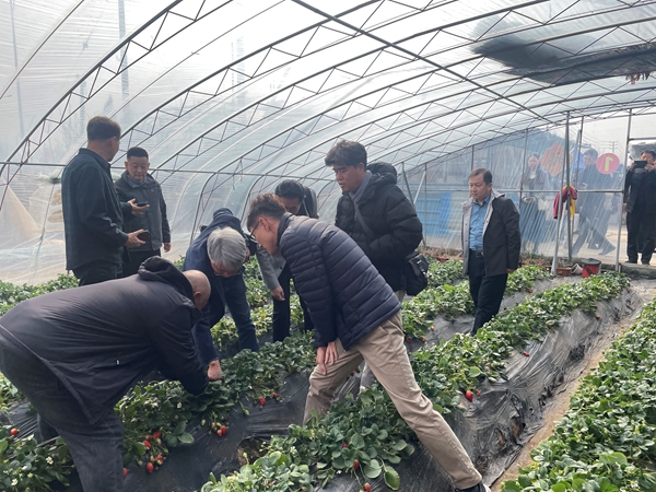 1711355235439034434.jpg 0325.jpg